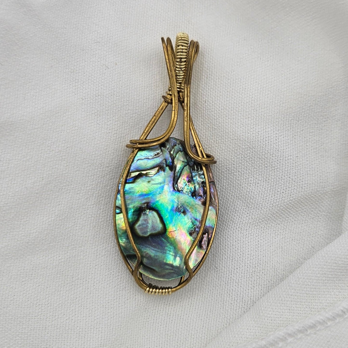 Abalone Muschel